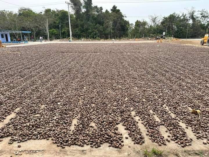 WhatsApp Image 2025-08-05 at 11.02.57 AM.jpeg